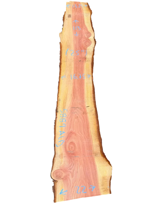Giant Sequoia Live Edge Slab 5889.ALD