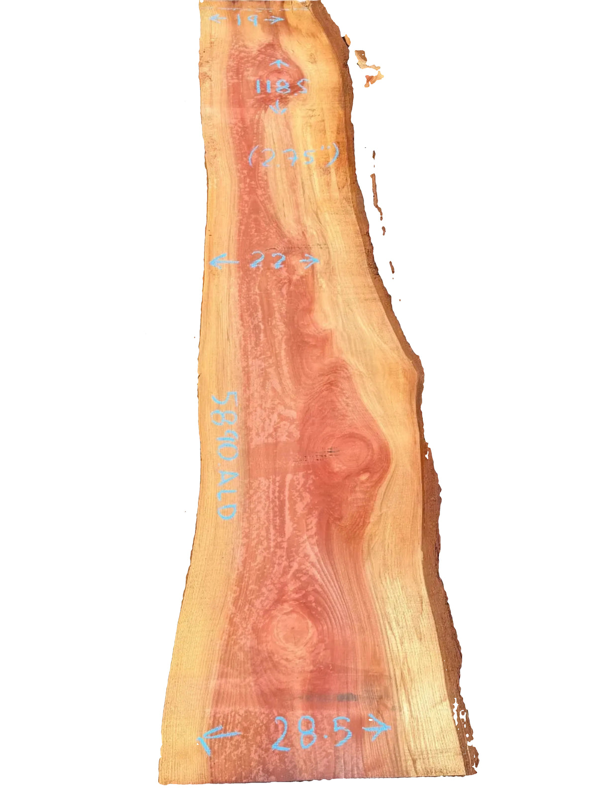 Giant Sequoia Live Edge Slab 5890.ALD