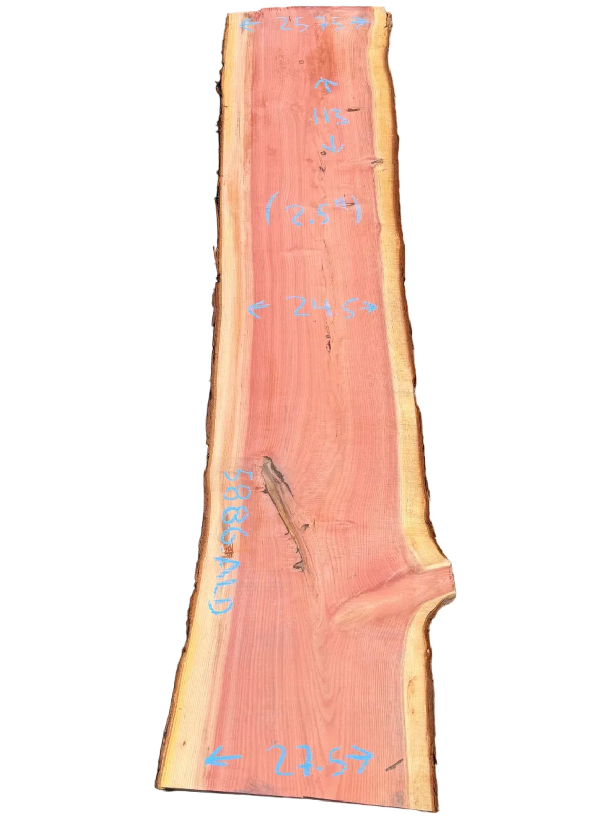 Giant Sequoia Live Edge Slab 5886.ALD