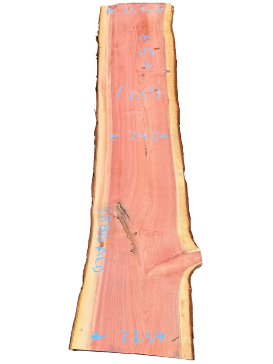Giant Sequoia Live Edge Slab 5886.ALD