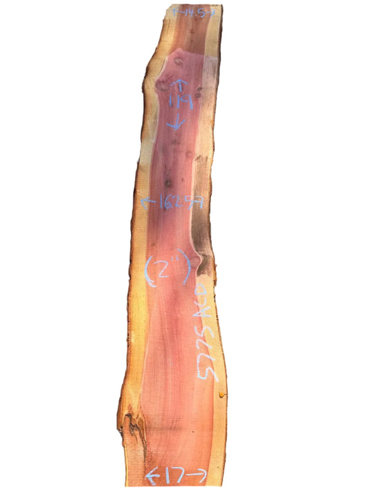 Giant Sequoia Live Edge Slab 5775.ALD