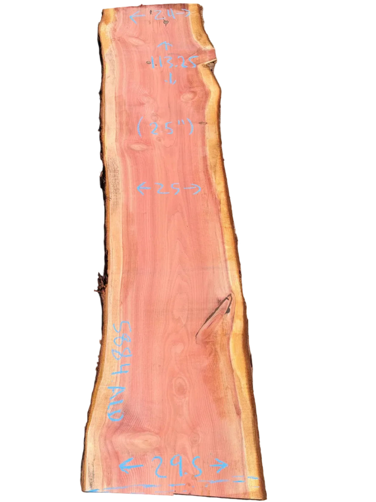 Giant Sequoia Live Edge Slab 5884.ALD