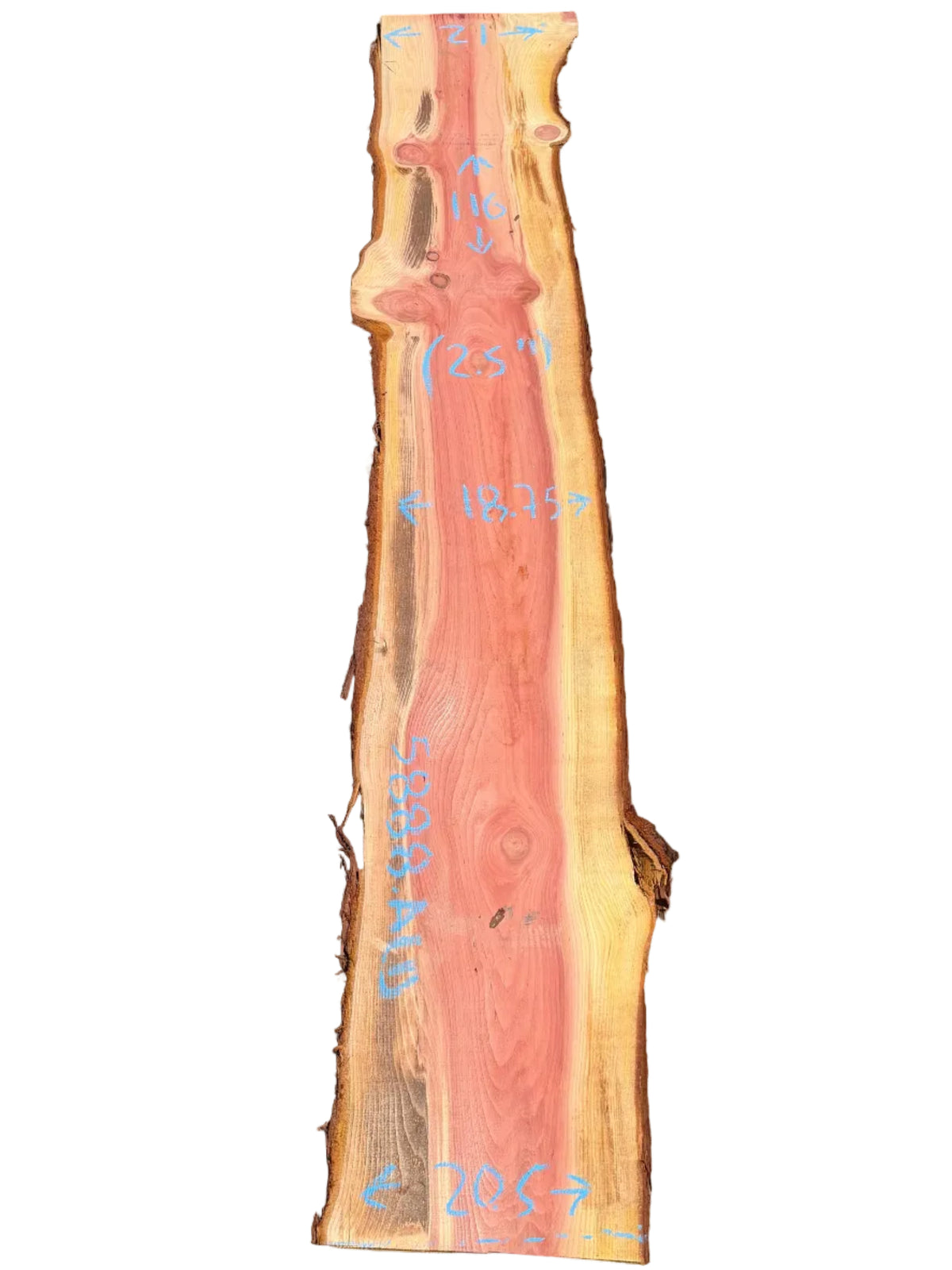Giant Sequoia Live Edge Slab 5888.ALD