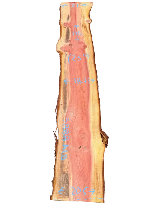 Giant Sequoia Live Edge Slab 5888.ALD