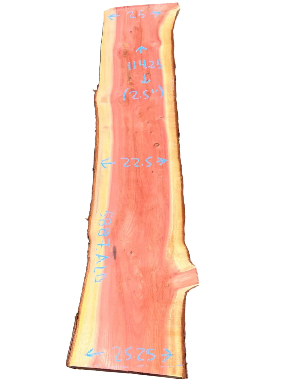 Giant Sequoia Live Edge Slab 5887.ALD
