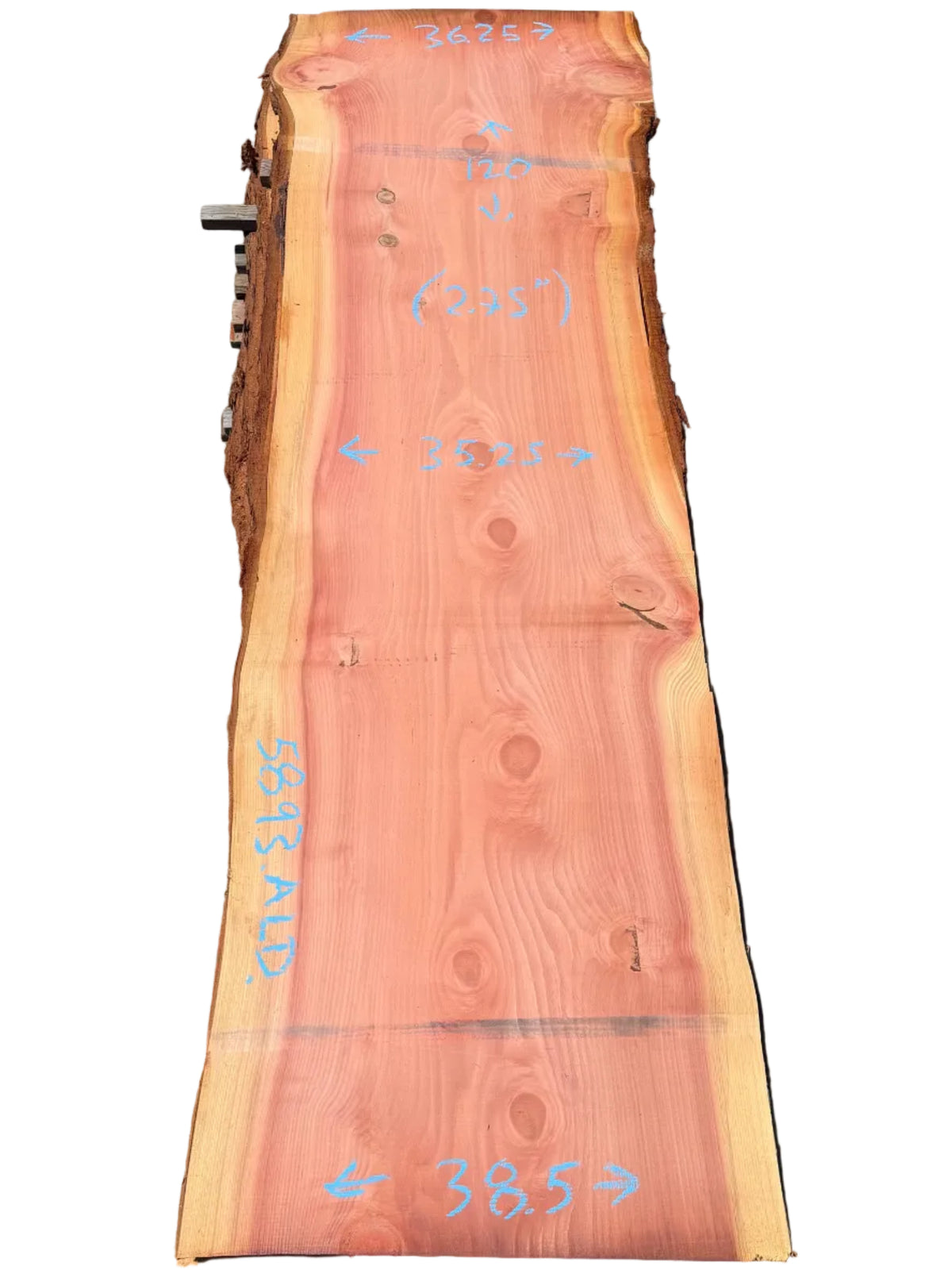 Giant Sequoia Live Edge Slab 5893.ALD
