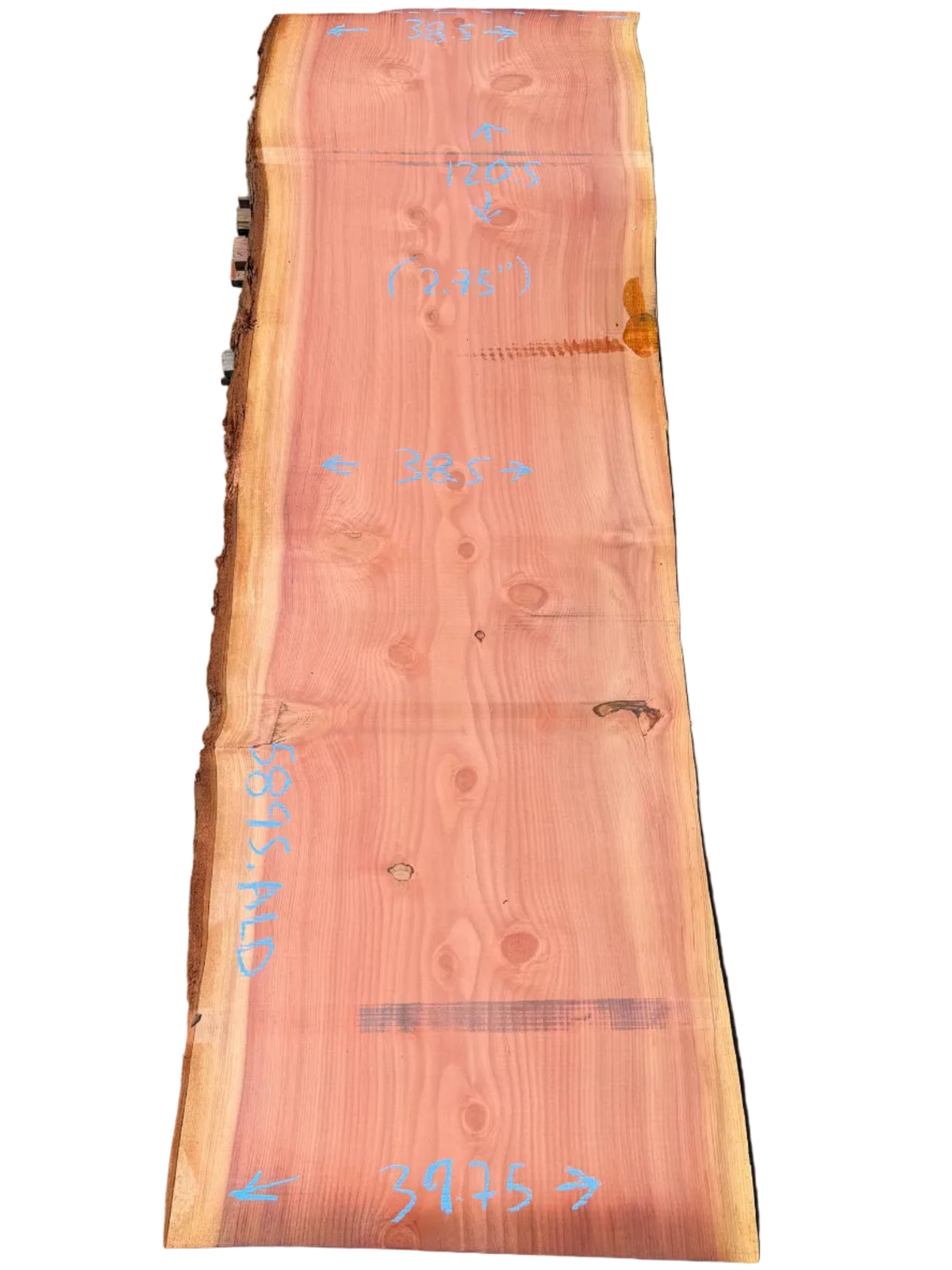 Giant Sequoia Live Edge Slab 5895.ALD