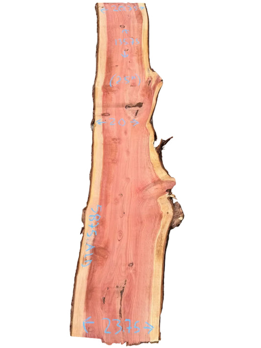 Giant Sequoia Live Edge Slab 5875.ALD
