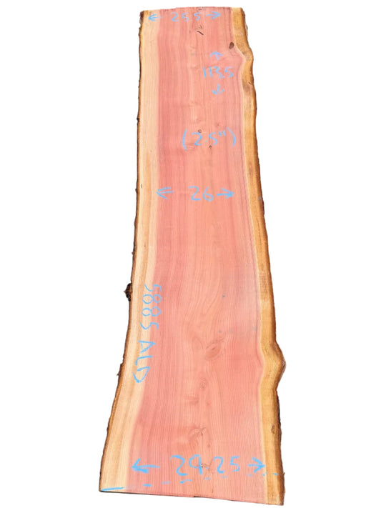 Giant Sequoia Live Edge Slab 5885.ALD