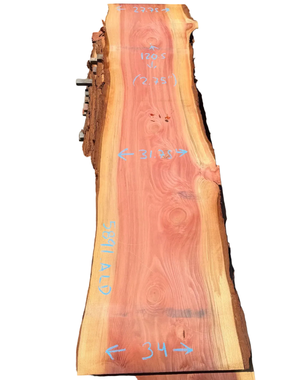 Giant Sequoia Live Edge Slab 5891.ALD