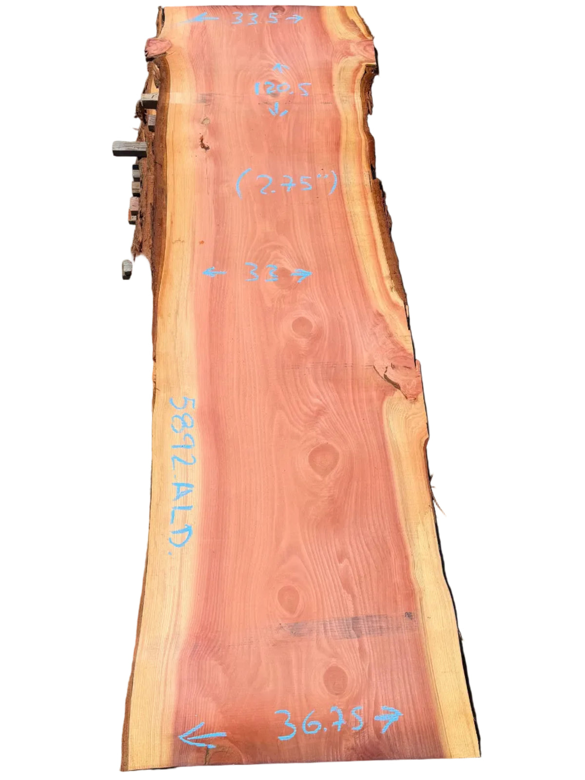 Giant Sequoia Live Edge Slab 5892.ALD