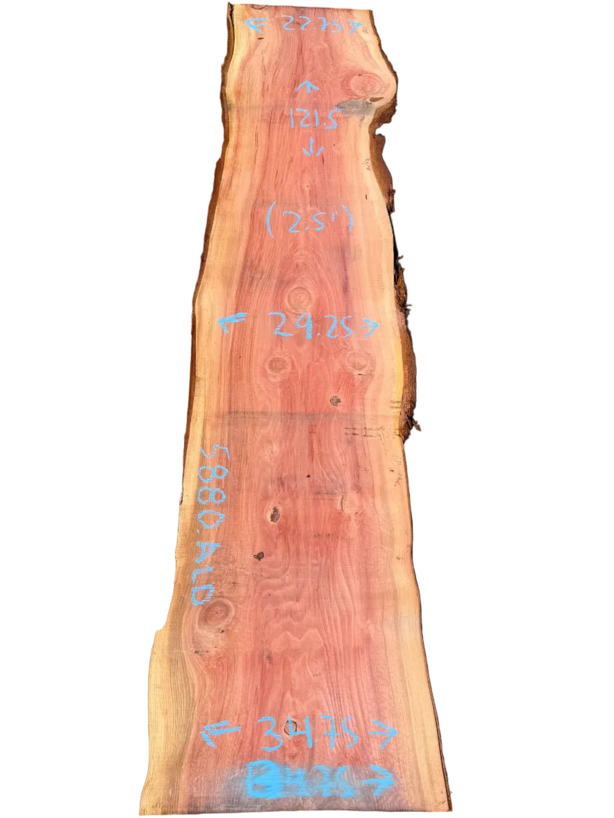 Giant Sequoia Live Edge Slab 5880.ALD