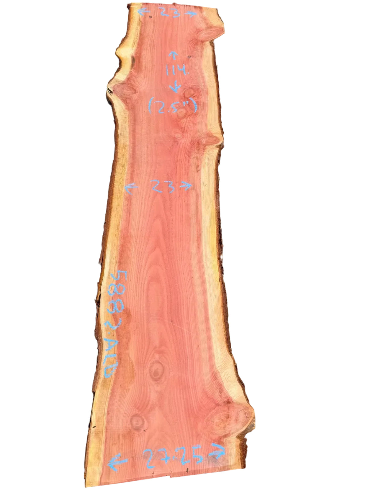 Giant Sequoia Live Edge Slab 5882.ALD