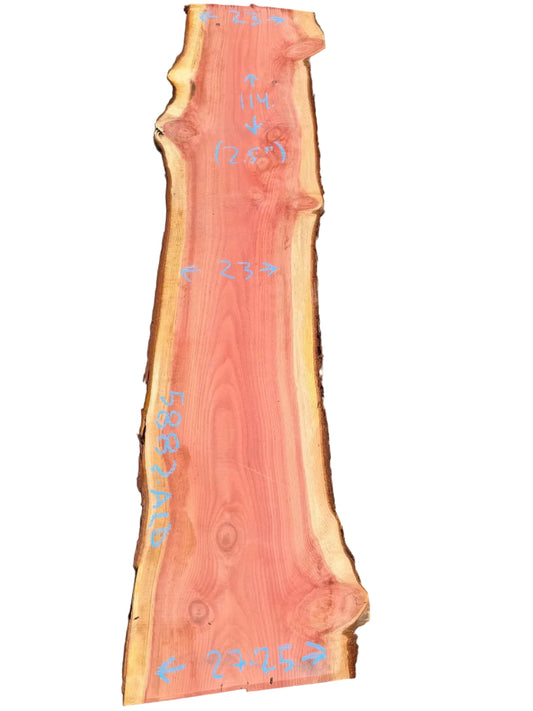 Giant Sequoia Live Edge Slab 5882.ALD