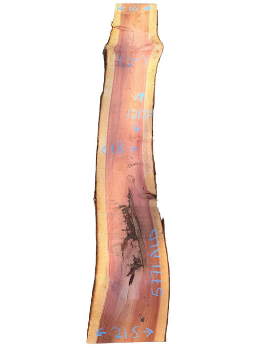 Giant Sequoia Live Edge Slab 5771.ALD