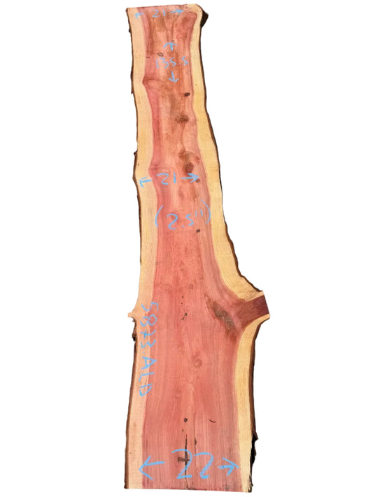 Giant Sequoia Live Edge Slab 5873.ALD
