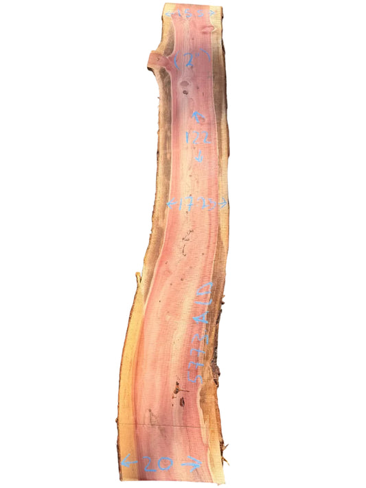 Giant Sequoia Live Edge Slab 5773.ALD