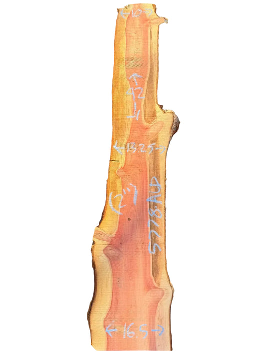 Giant Sequoia Live Edge Slab 5778.ALD