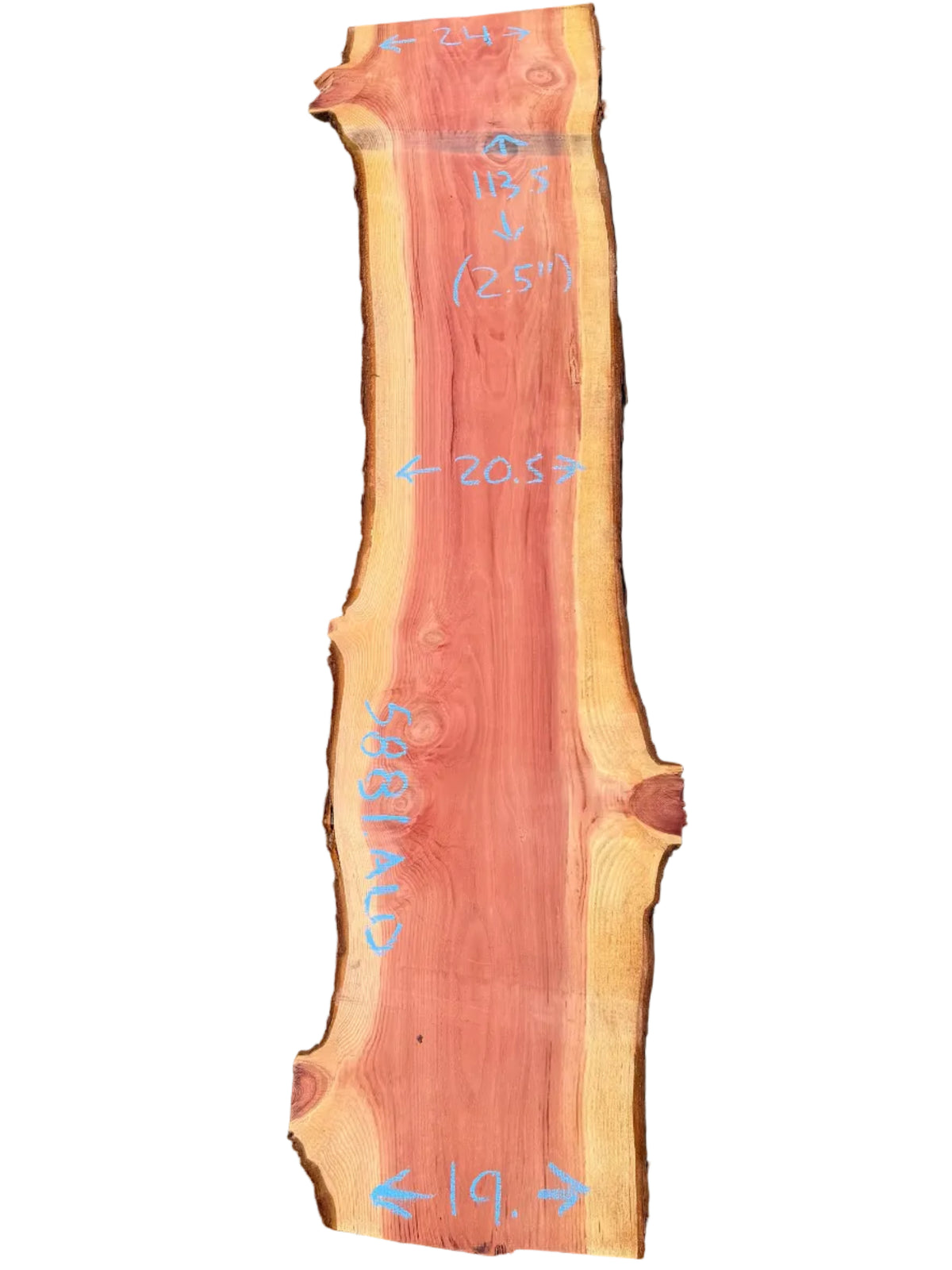 Giant Sequoia Live Edge Slab 5881.ALD