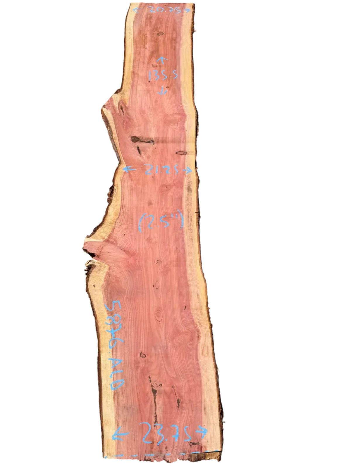 Giant Sequoia Live Edge Slab 5876.ALD