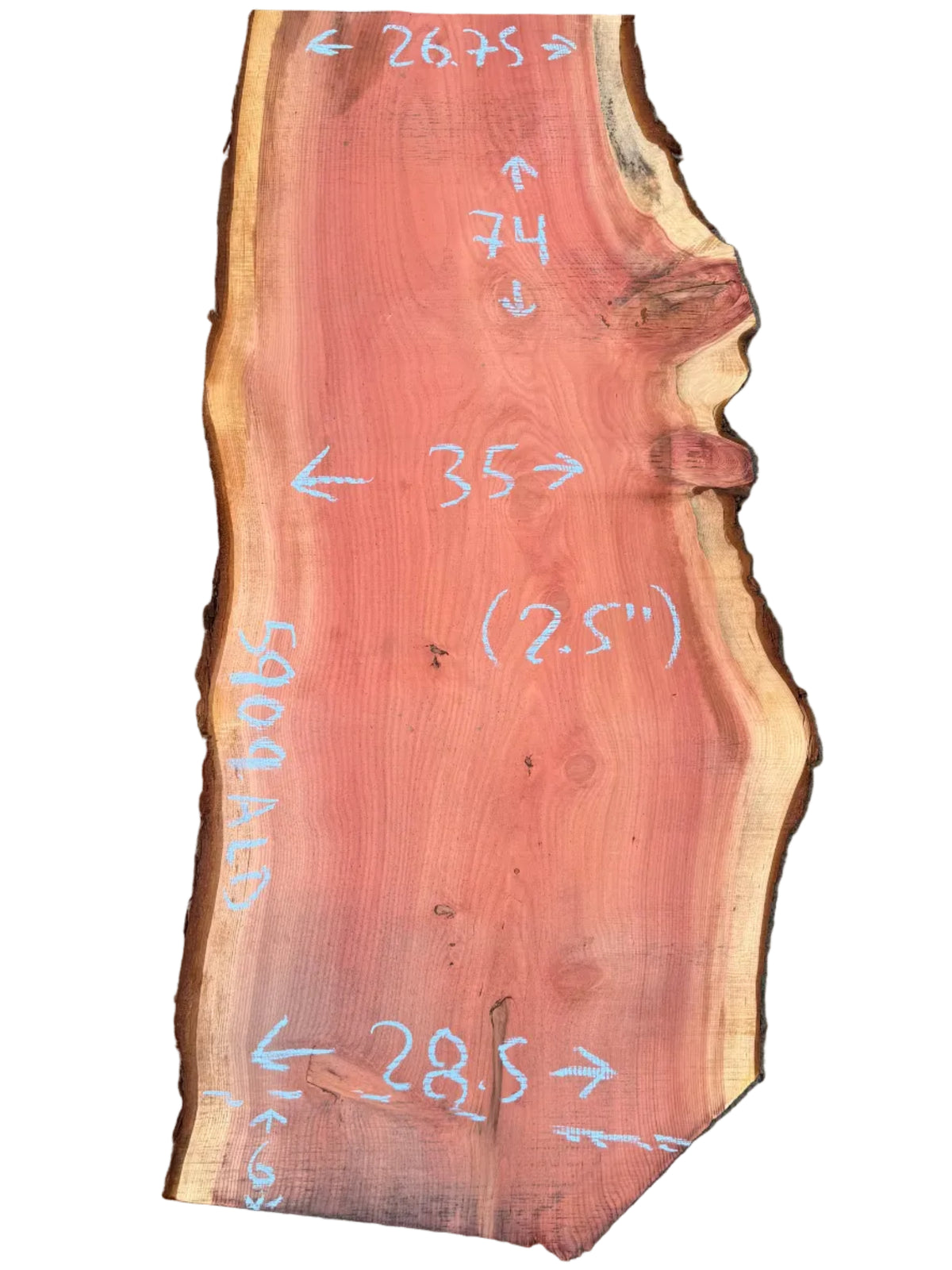 Giant Sequoia Live Edge Slab 5909.ALD