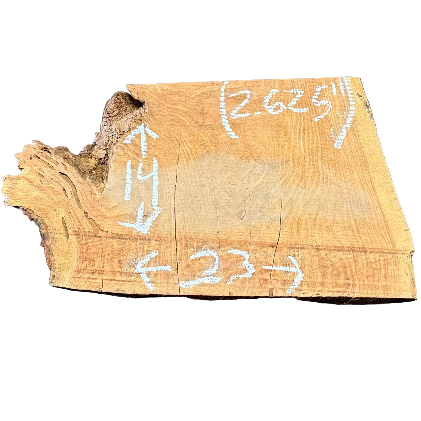 Honey Locust Live Edge Slab 3305.KPR