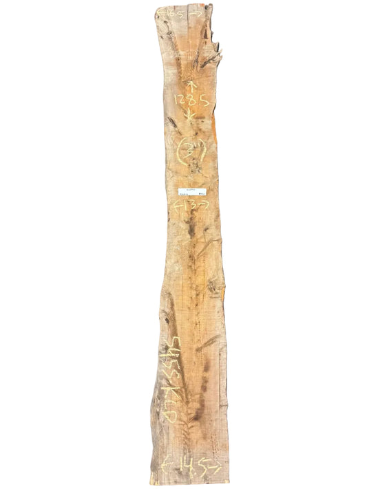 Italian Cypress Live Edge Slab 5455.KLD