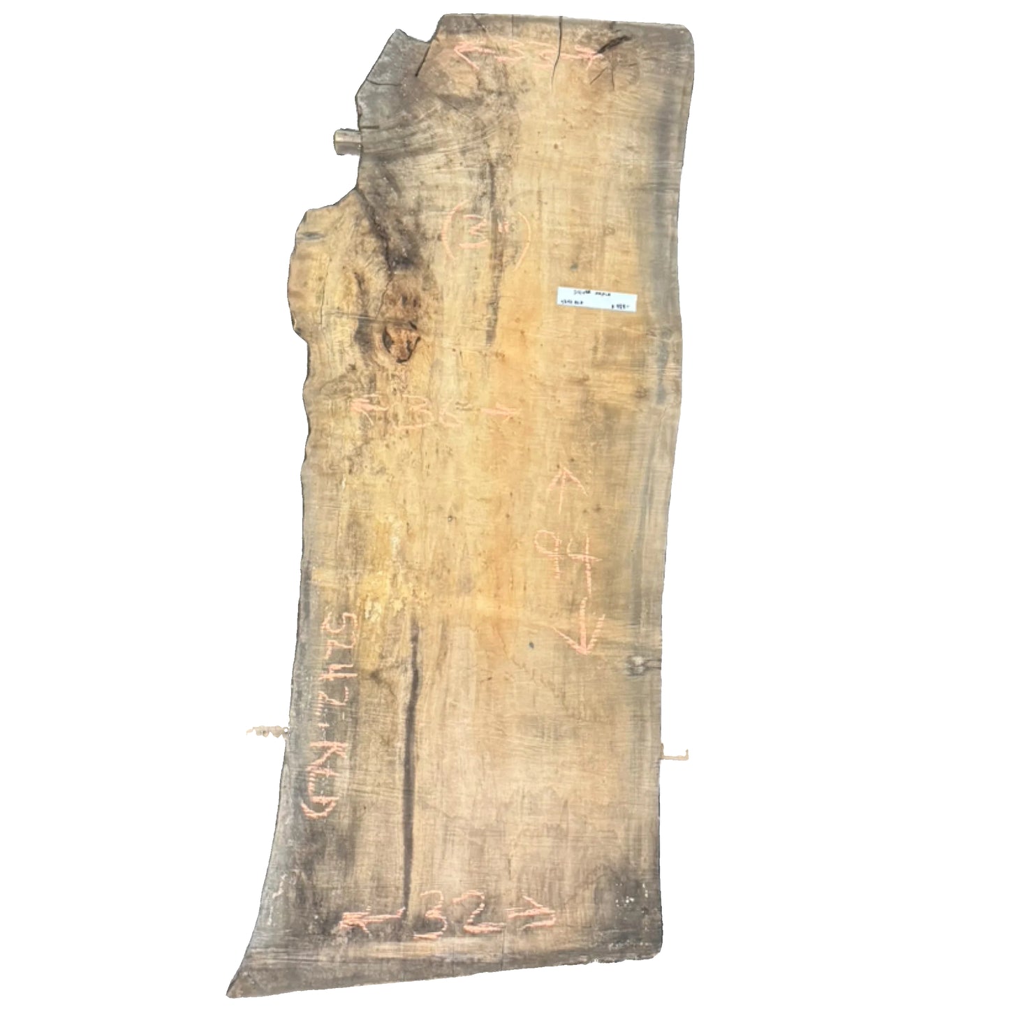 Silver Maple Live Edge Slab 5242.KLD