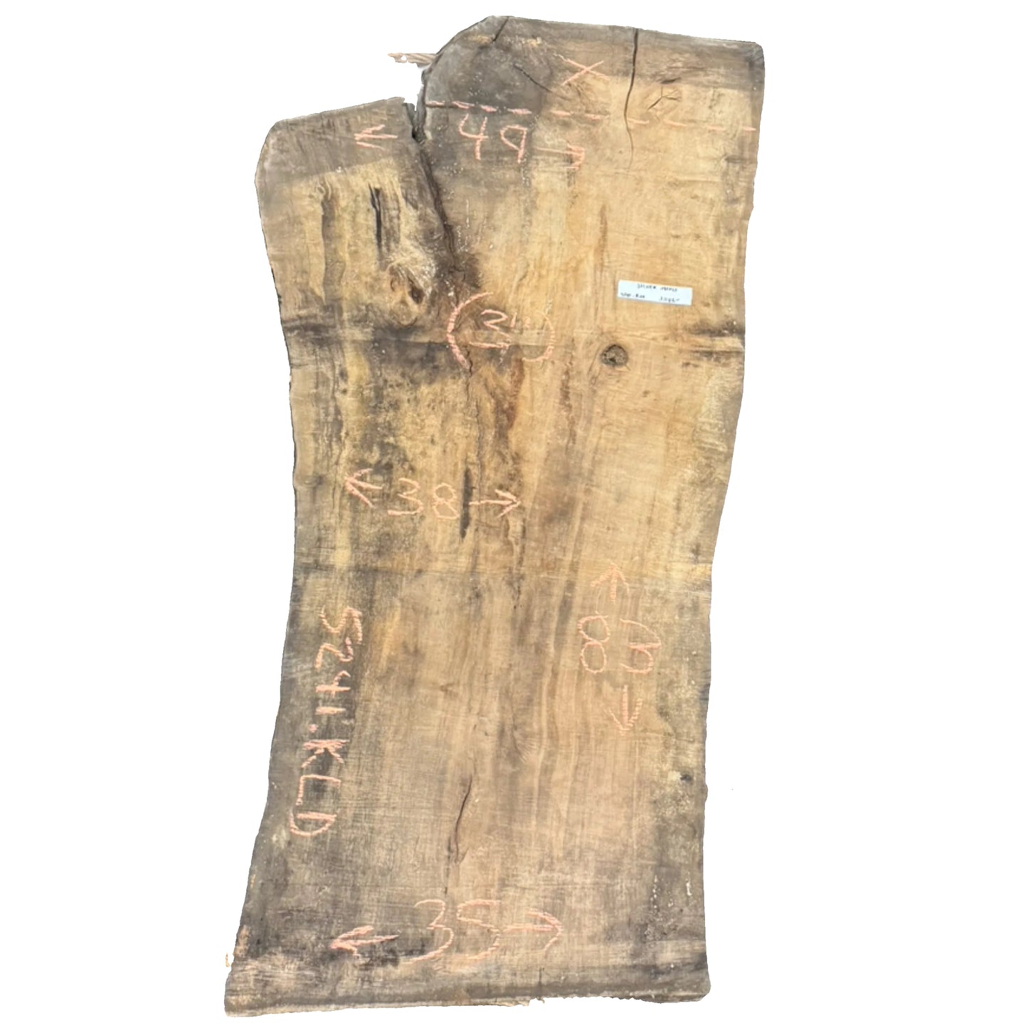 Silver Maple Live Edge Slab 5241.KLD