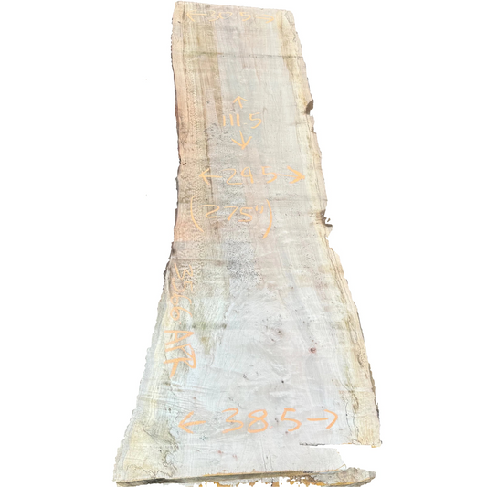 Spalted Maple Live Edge Slab 3566.APR