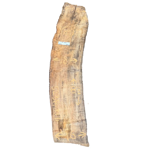 Silver Maple Live Edge Slab 5238.KLD