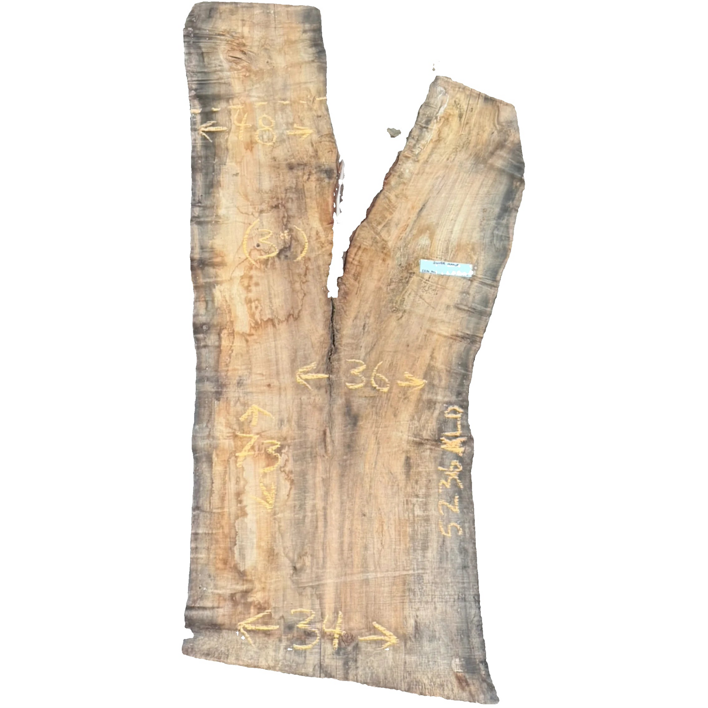 Silver Maple Live Edge Slab 5236.KLD