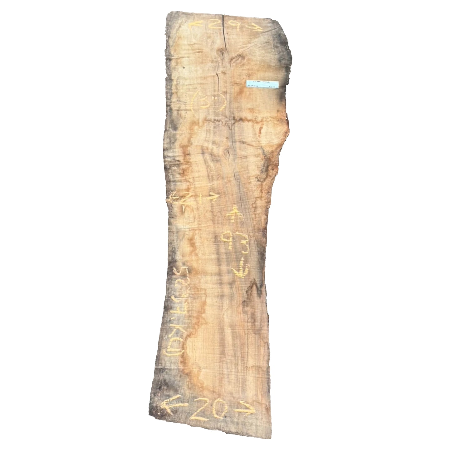 Silver Maple Live Edge Slab 5237.KLD