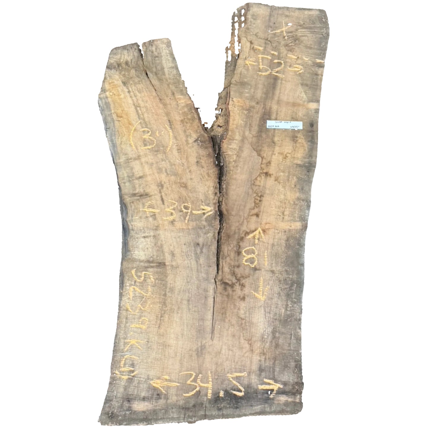 Silver Maple Live Edge Slab 5239.KLD