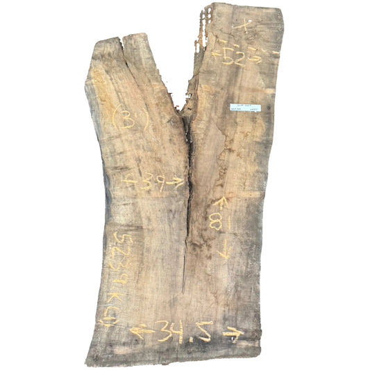 Silver Maple Live Edge Slab 5239.KLD