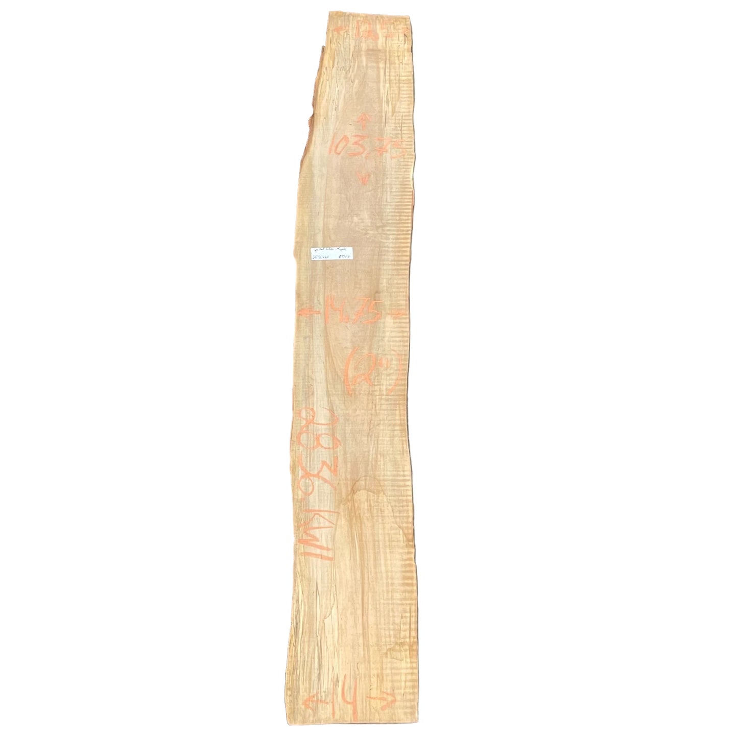 Spalted Silver Maple Live Edge Slab 2836.KWI