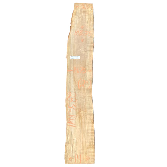 Spalted Silver Maple Live Edge Slab 2836.KWI