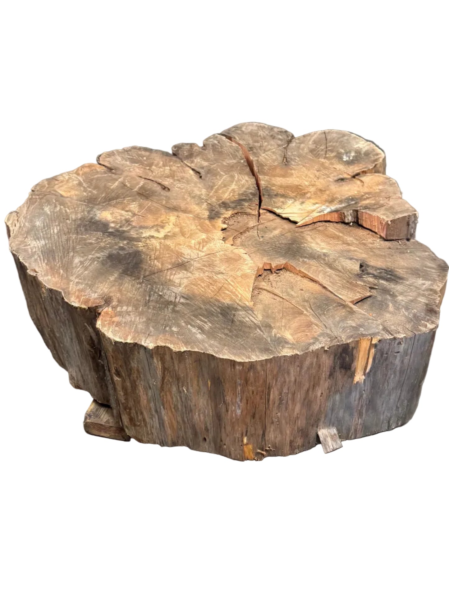 Monterey Cypress Cookie