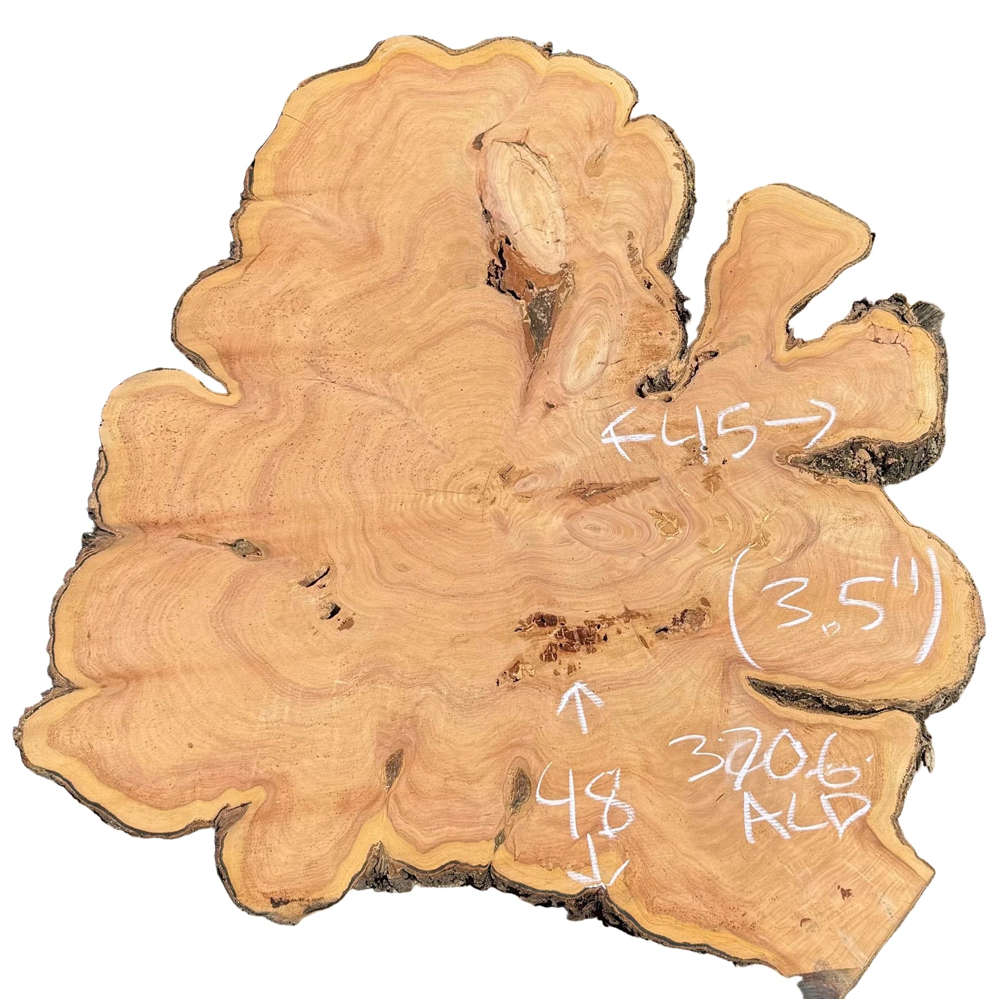 Monterey Cypress Cookie 3706.ALD