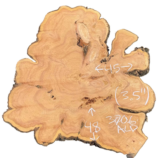 Monterey Cypress Cookie 3706.ALD