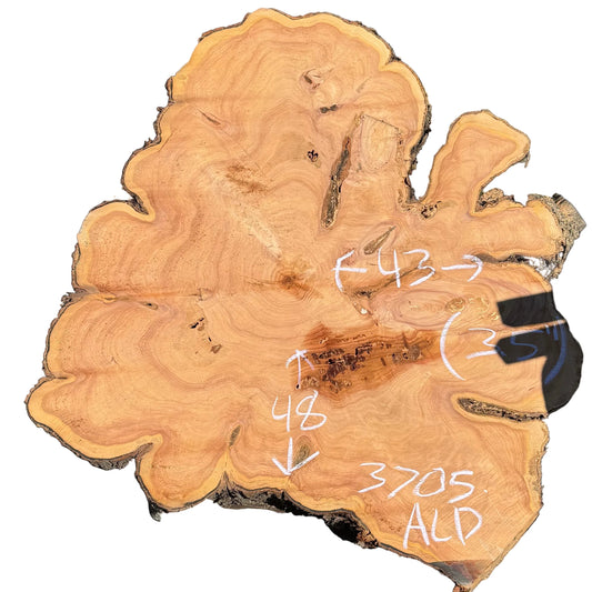 Monterey Cypress Cookie 3705.ALD