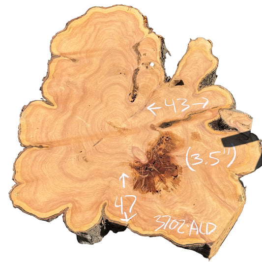 Monterey Cypress Cookie 2702.ALD