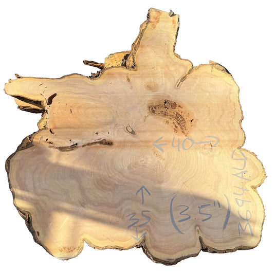 Monterey Cypress Cookie 3694.ALD