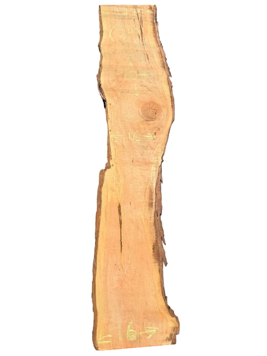 Monterey Cypress Live Edge Slab 5541.ALD