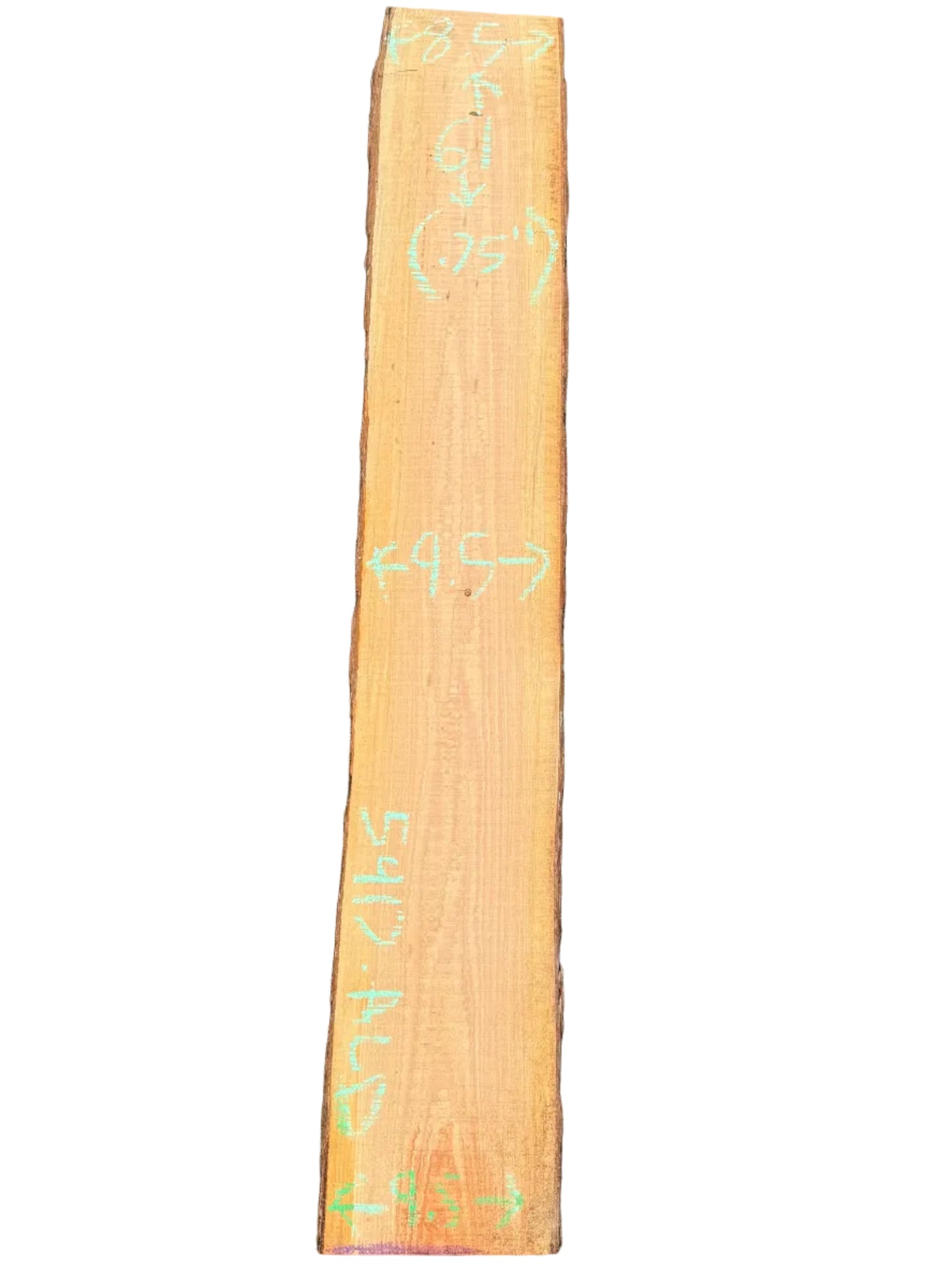 Monterey Cypress Live Edge Slab 5417.ALD