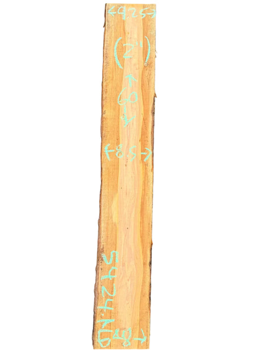 Monterey Cypress wood slab