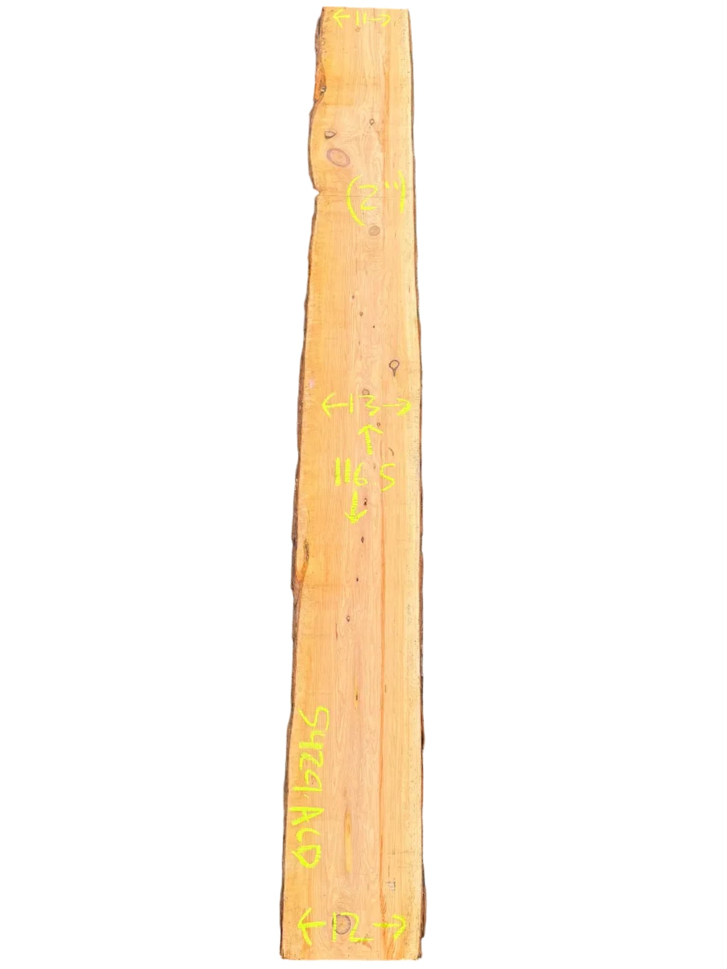 Monterey cypress live edge wood slab SF