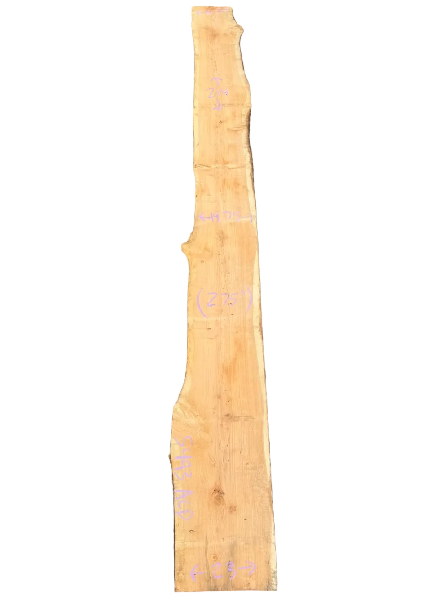 Monterey Cypress Live Edge Slab 5493.ALD