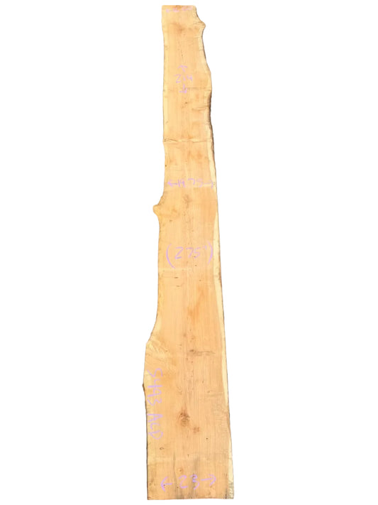 Monterey Cypress Live Edge Slab 5493.ALD