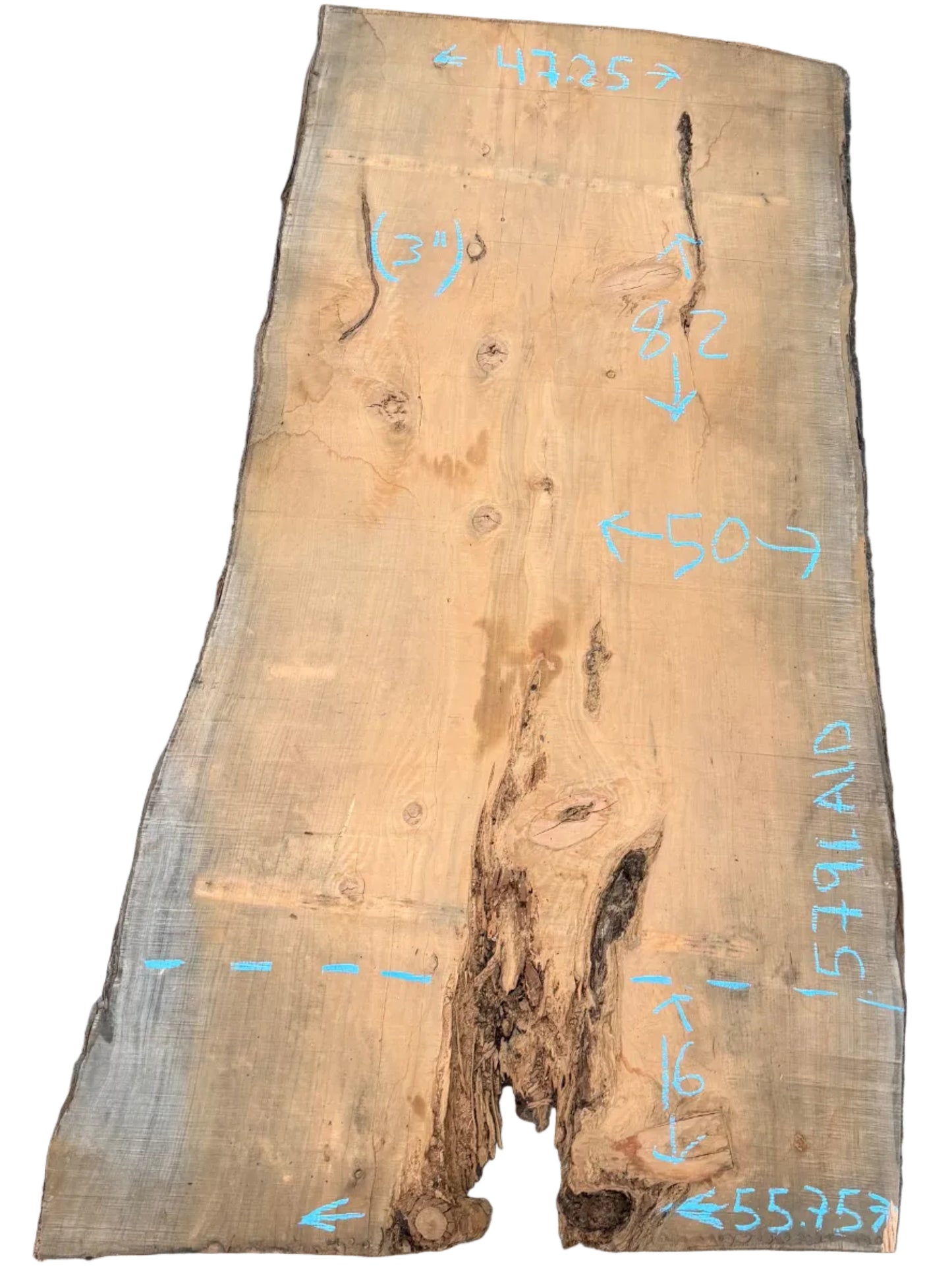 Monterey Cypress Live Edge Slab 5791.ALD